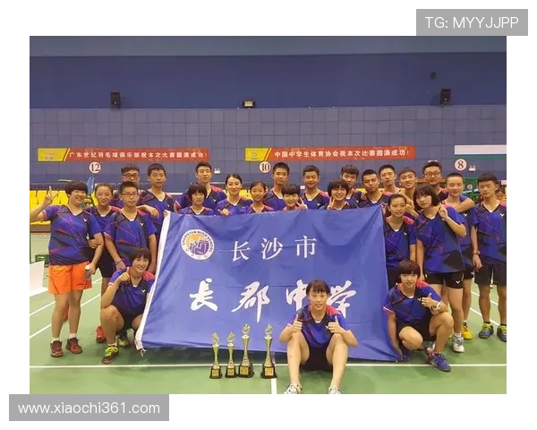 南京羽毛球队阵地战革新探索与实践的深度剖析与展望