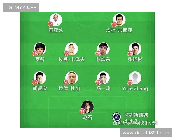 北京排球队个人能力排名创历史新高展现强大实力与团队合作精神